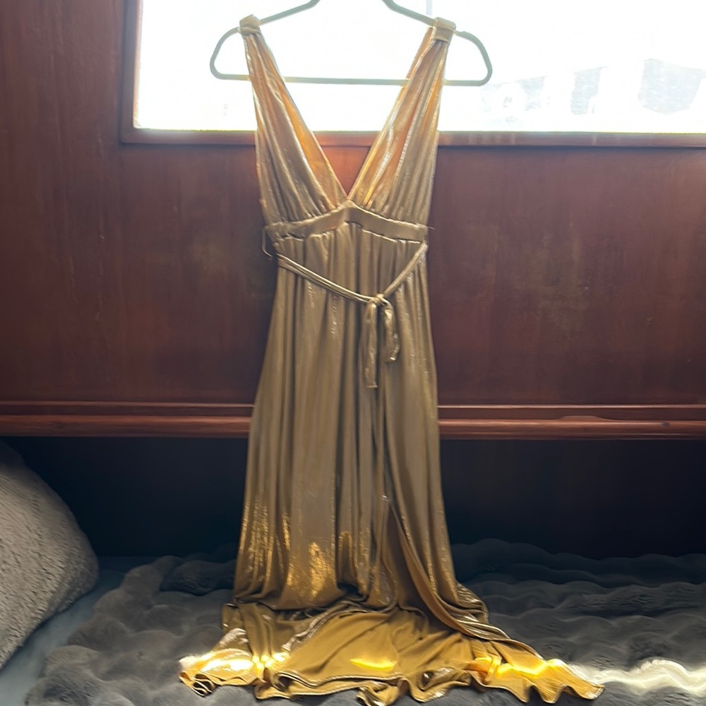 Sincerely Jules Shimmering Gold Dress